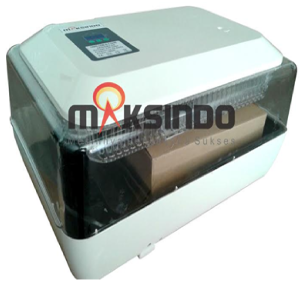 mesin-penetas-telur-6-maksindo-bogor (1)