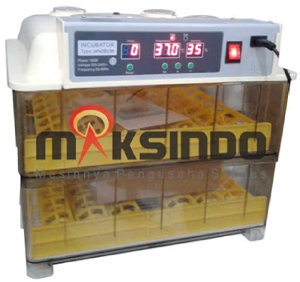 mesin-penetas-telur-6-maksindo-bogor (3)